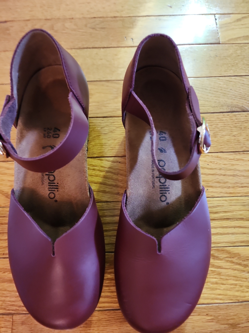 Papillio Burgundy Leather Mary Jane Wedge Shoes with Ankle Strap